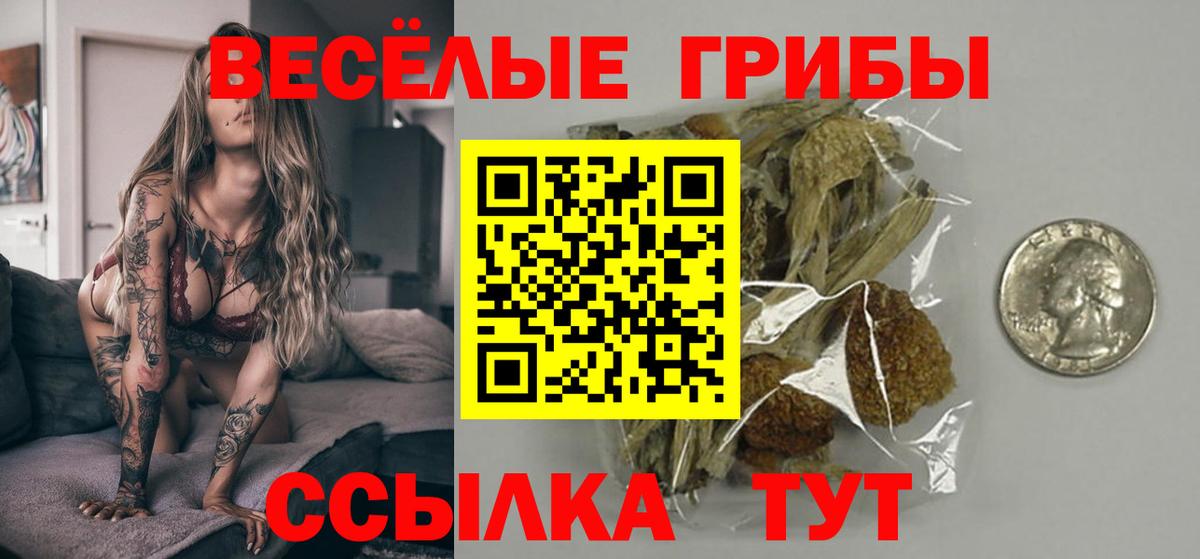 Псилоцибиновые грибы Psilocybe Туапсе